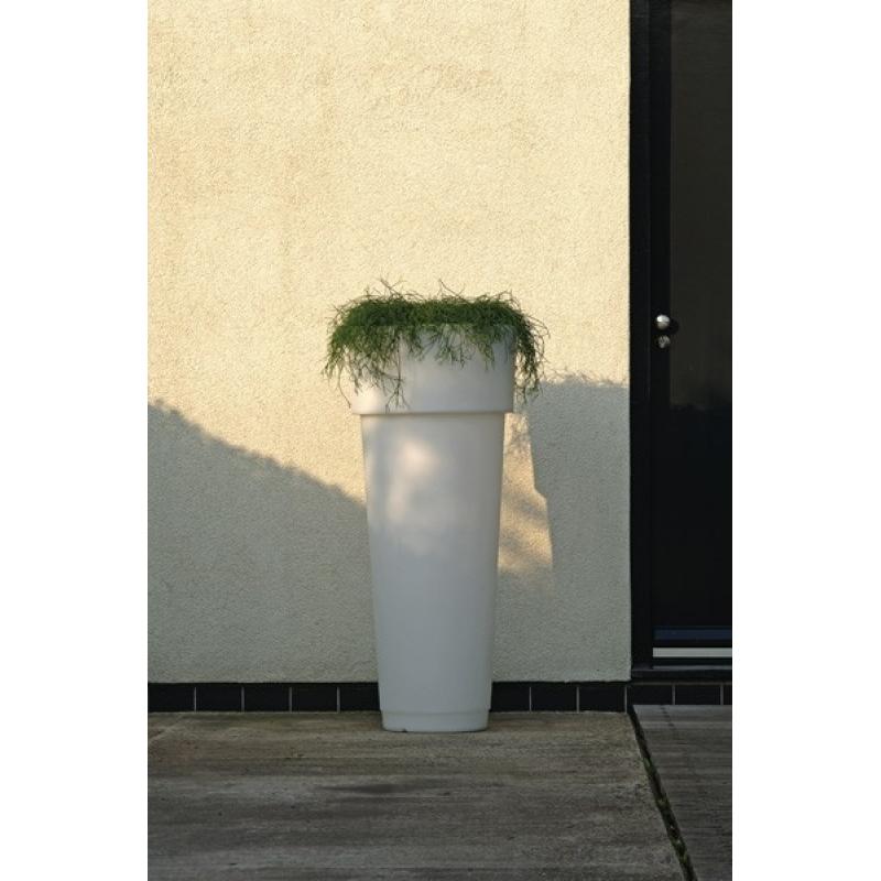 Bloempilaar Pisa Onverlicht