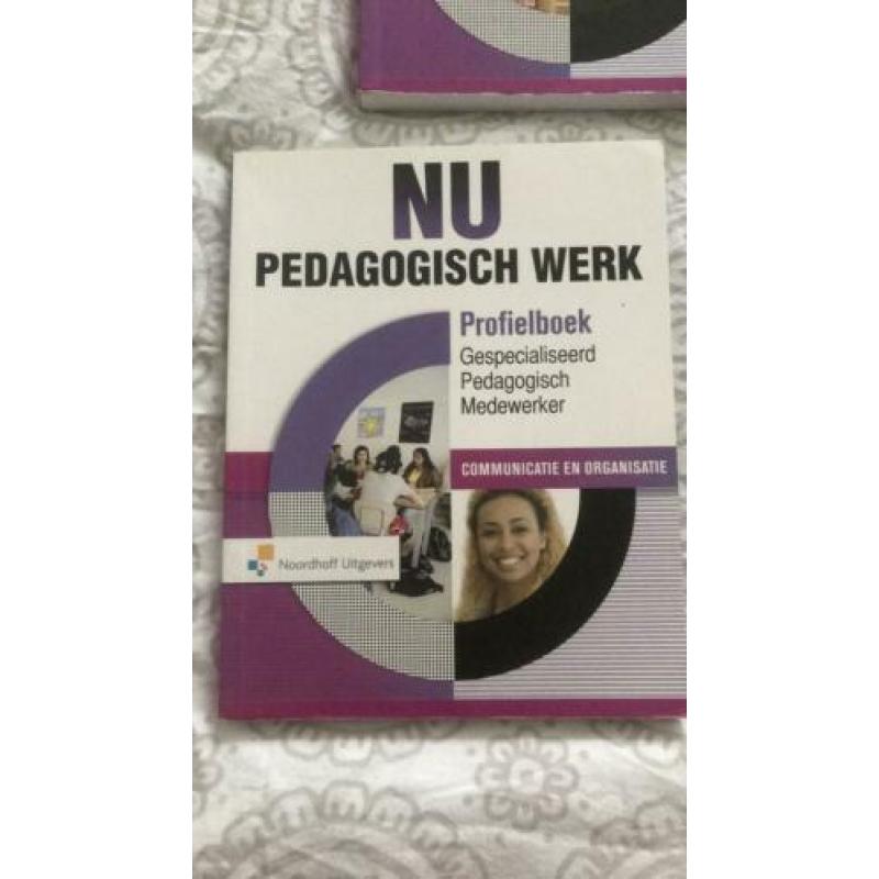 NU Pedagogisch Werk - boeken gpm niv. 4