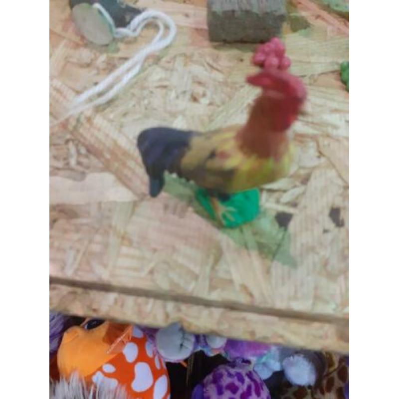 Schleich uit de collectie kippen en haan