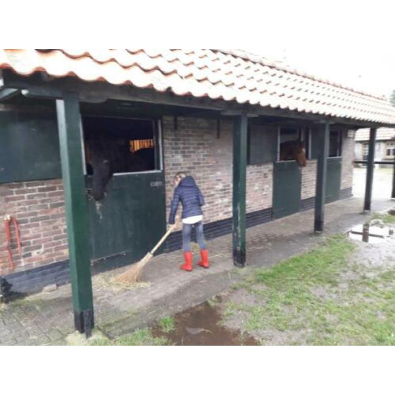 stalling en weidegang