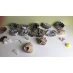 Mineralen, edelstenen, fossielen en schelpen verzameling.