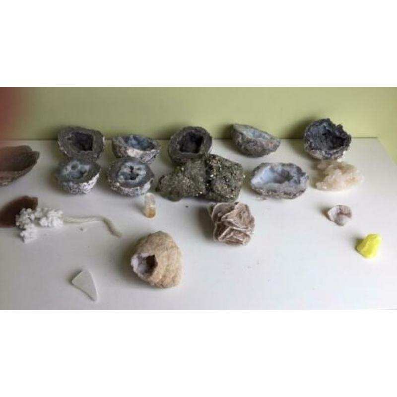 Mineralen, edelstenen, fossielen en schelpen verzameling.