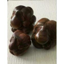 3 x yogi mannen huisbeschermer, 13-12-9 cm hoog