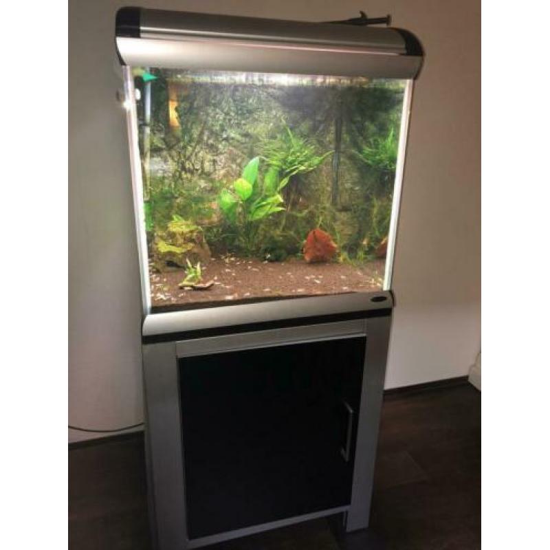 Ferplast star cube aquarium 230L