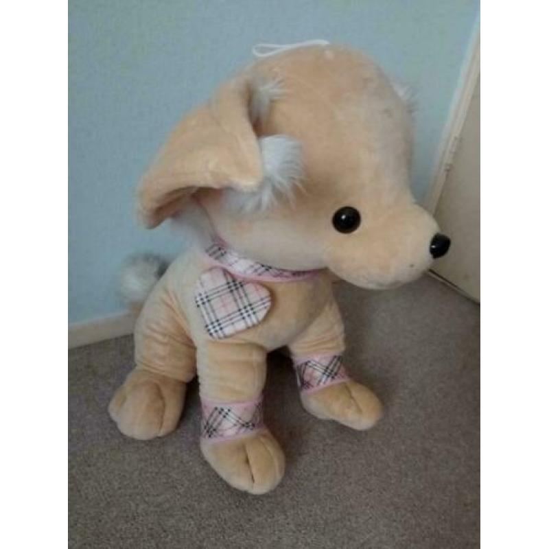 Grote Chihuahua knuffels