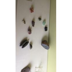 Mineralen, edelstenen, fossielen en schelpen verzameling.
