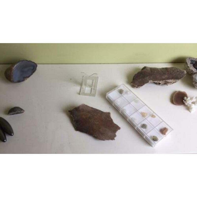 Mineralen, edelstenen, fossielen en schelpen verzameling.