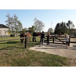 stalling en weidegang