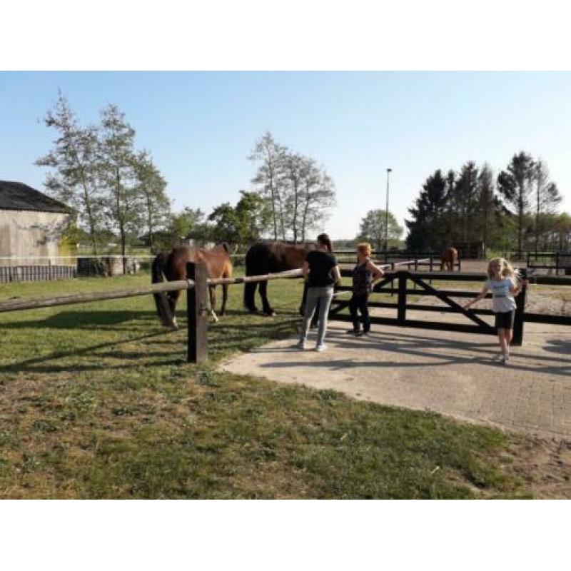 stalling en weidegang