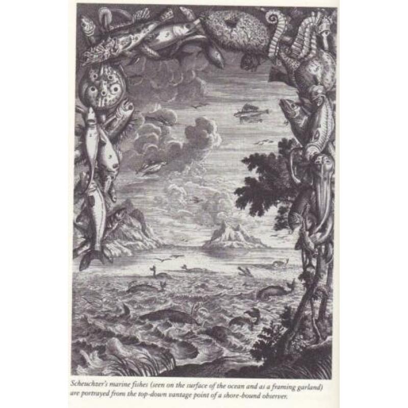 Gould - Leonardo’s Mountain of Clams and the Diet of Worms