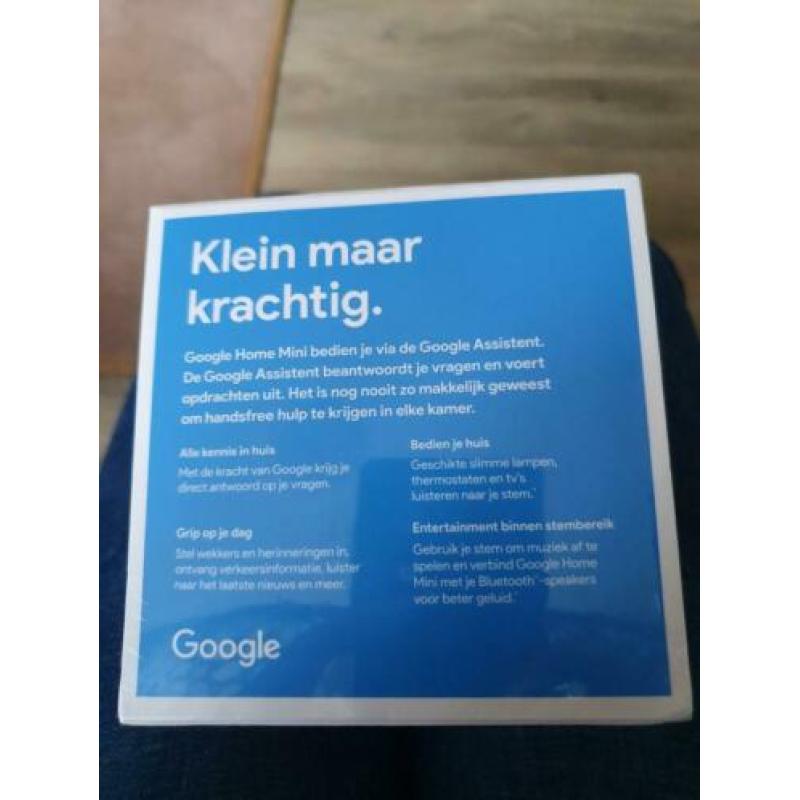 Google home mini