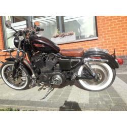 Harley davidson sportster 883