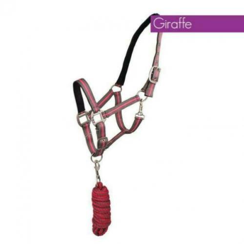 QHP Halsterset Luxo in tas Giraffe Cob.