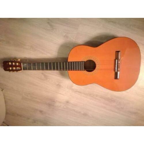 Accoustische gitaar. Missen 2 snaren