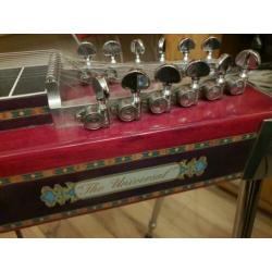 MSA The Universal pedal steel guitar, Cube 80gx