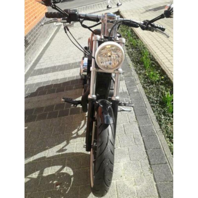 Harley davidson sportster 883