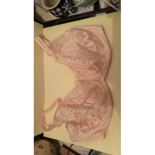 Prima Donna bh EU 75F