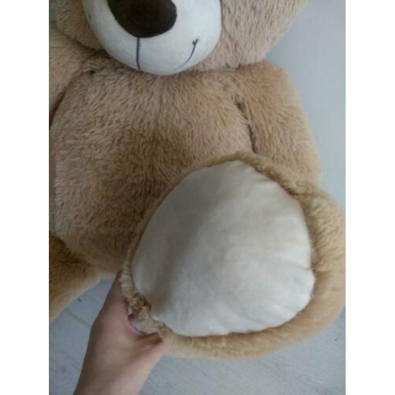 Teddy Bear Bruin