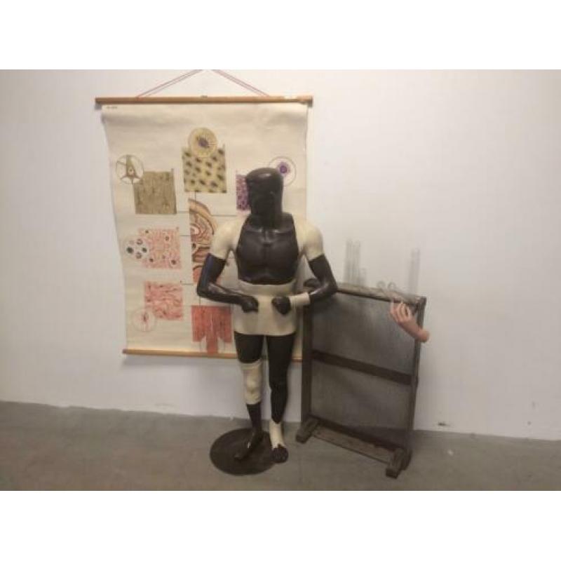 Franse '50’s reclame mannequin van ”GIBAUD” sport bandages