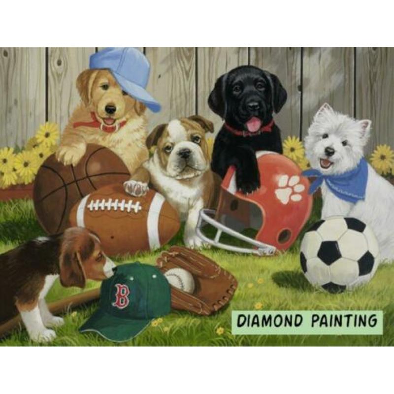 FULL Diamond Painting: Golden retriever puppy afm. 30x40 cm