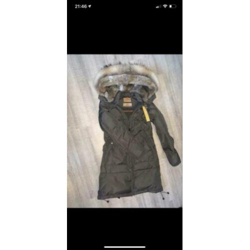 Parajumpers long bear