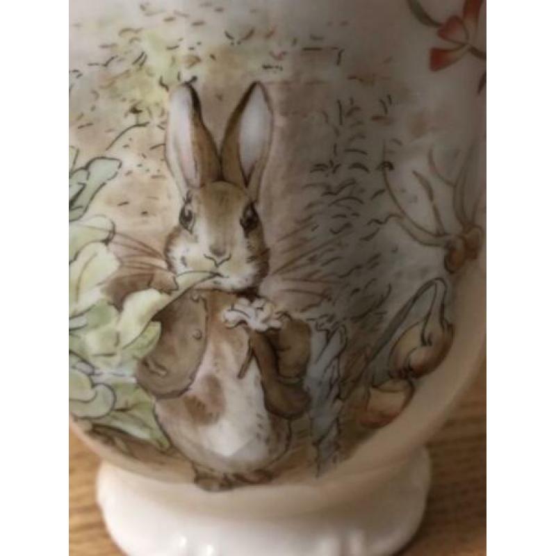 Beatrix Potter Benjamin Bunny Beker Royal Albert Bone China