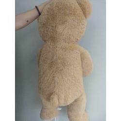 Teddy Bear Bruin