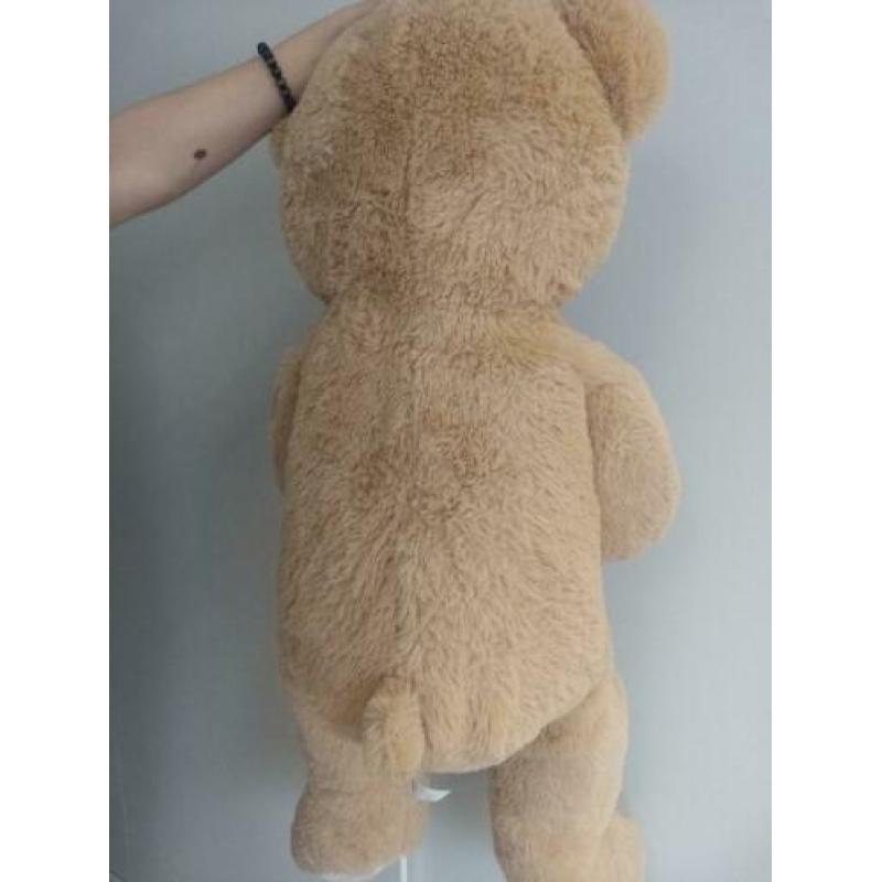 Teddy Bear Bruin