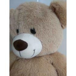 Teddy Bear Bruin