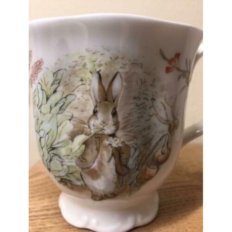 Beatrix Potter Benjamin Bunny Beker Royal Albert Bone China