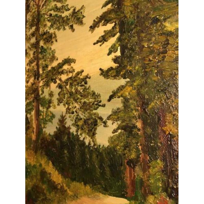 Schilderij, olieverf op paneel, H. Kuhlen, rond 1910