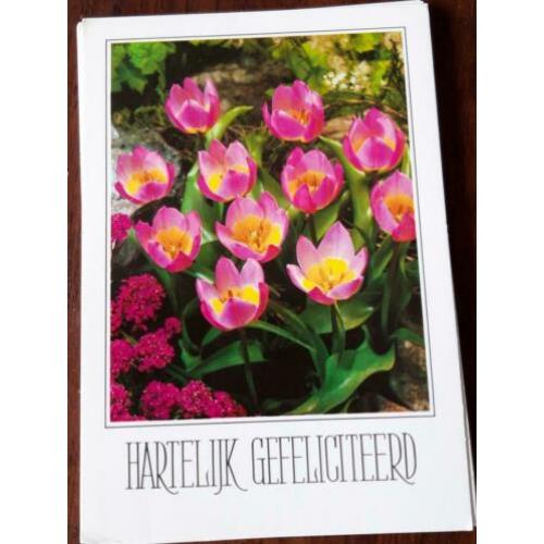 Onbeschreven ansichtkaarten met bloemen en felicitatie