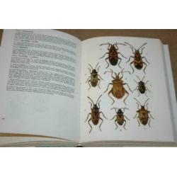 Dikke pil - Insects - A Field Guide in Colour !!