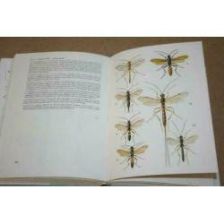 Dikke pil - Insects - A Field Guide in Colour !!
