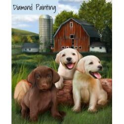 FULL Diamond Painting: Golden retriever puppy afm. 30x40 cm