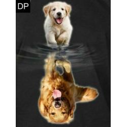 FULL Diamond Painting: Golden retriever puppy afm. 30x40 cm
