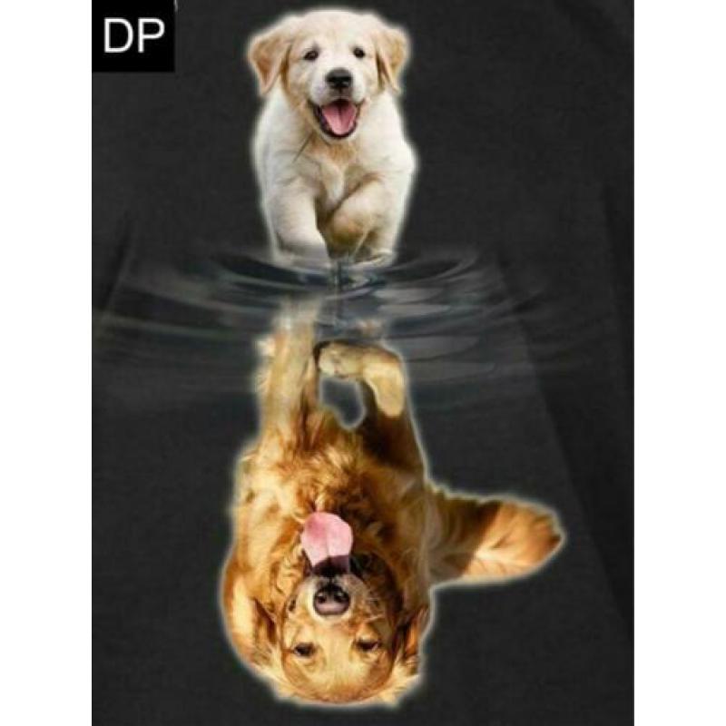 FULL Diamond Painting: Golden retriever puppy afm. 30x40 cm