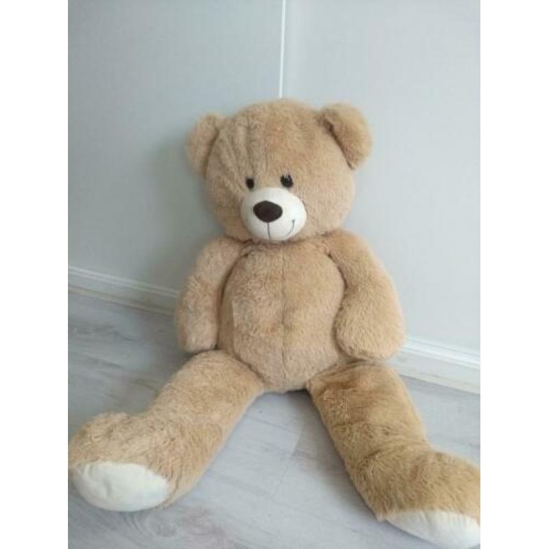 Teddy Bear Bruin