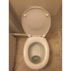 Wc pot met bril van Sfinx.