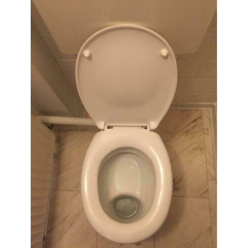 Wc pot met bril van Sfinx.