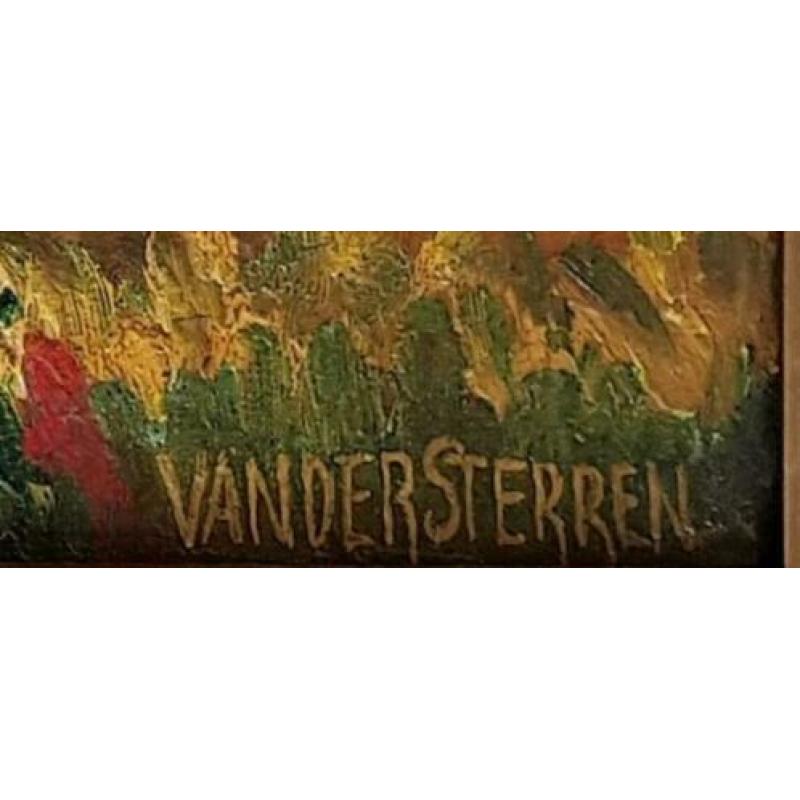 John van der Sterren Pure Bali Gesigneerd Olieverf op doek