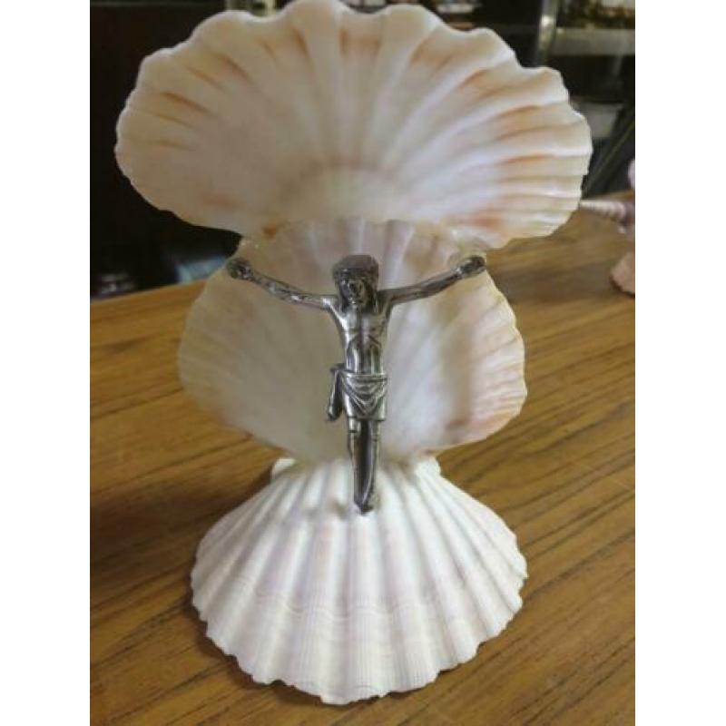Schelpenverzameling