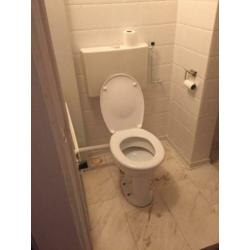 Wc pot met bril van Sfinx.