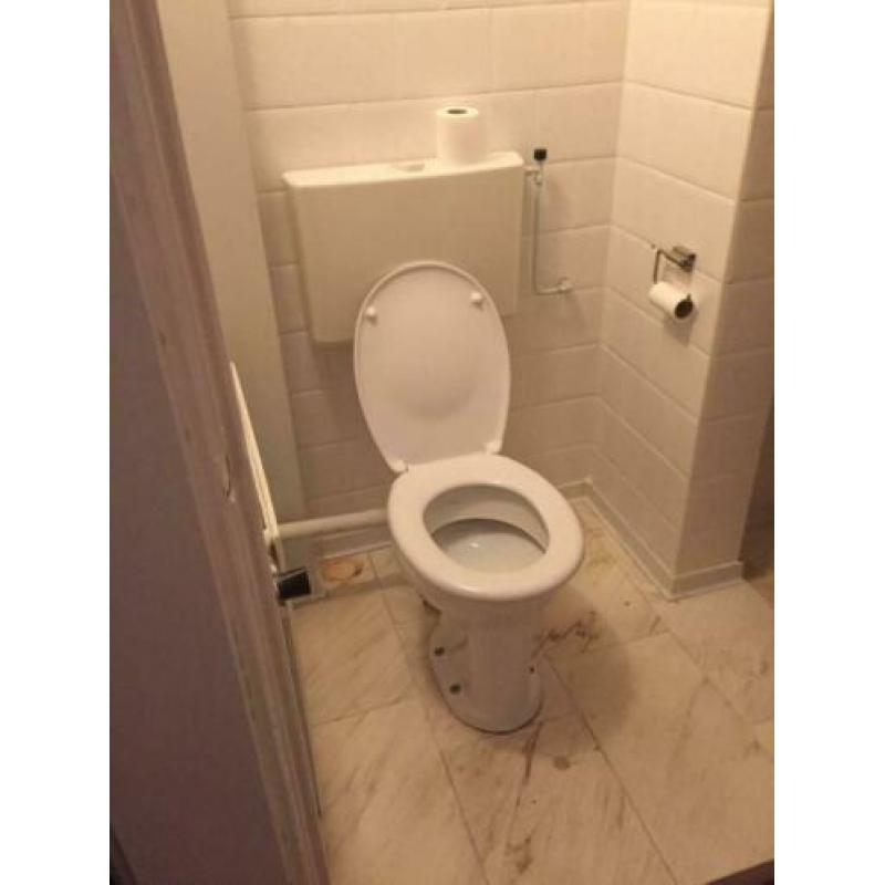 Wc pot met bril van Sfinx.
