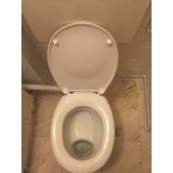 Wc pot met bril van Sfinx.