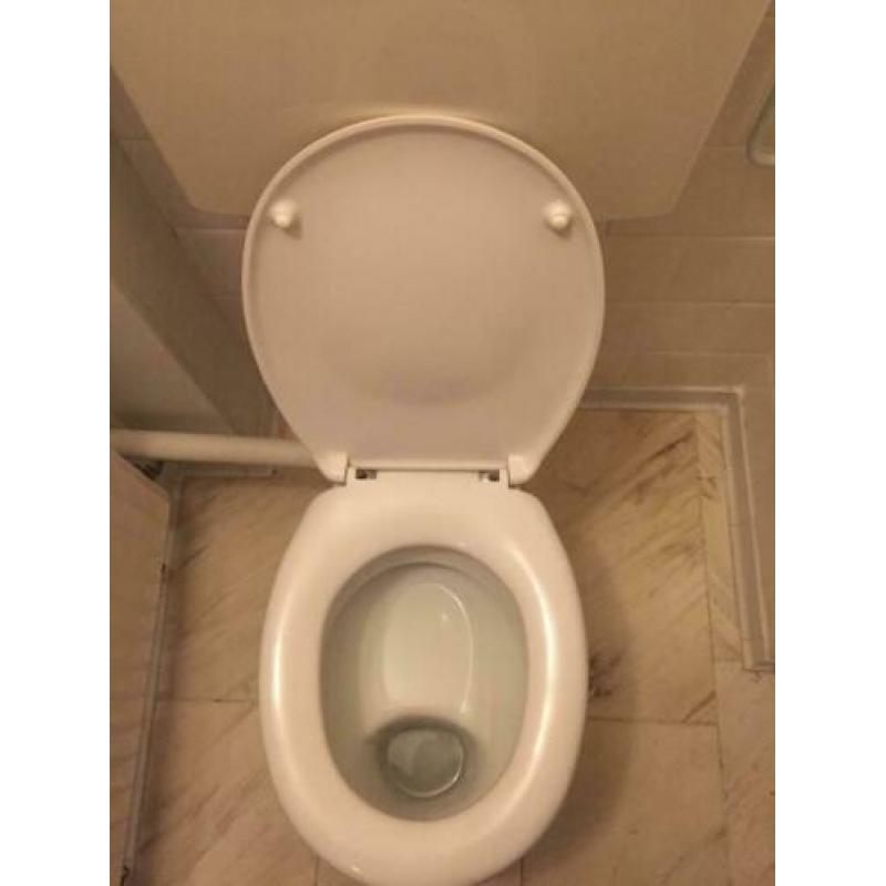 Wc pot met bril van Sfinx.
