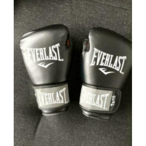 Everlast bokshandschoenen PU leder NIEUW boksen
