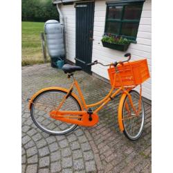 Nette oranje Tulpfietsen damesfiets, 56 cm, inclusief krat