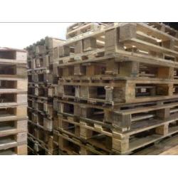 Pallets 80/120 cm