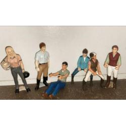 Grote schleich set